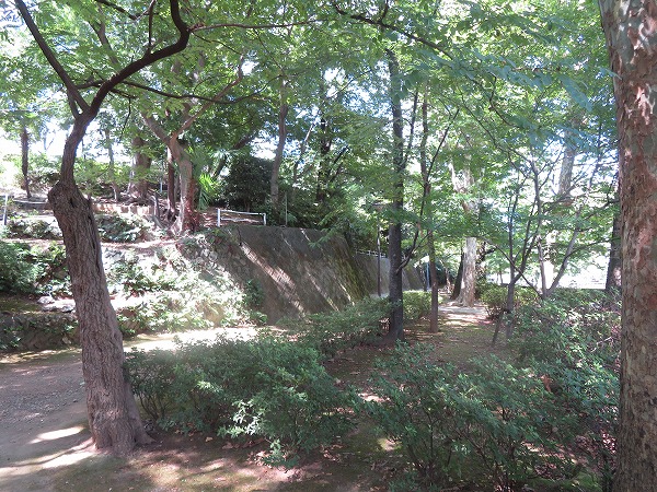 江古田公園